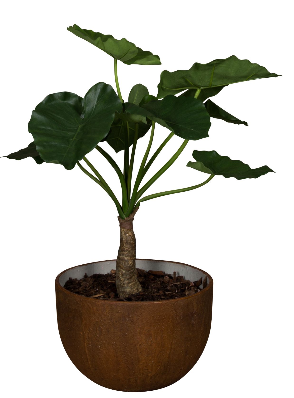 Medewi Alocasia 80 (Akasien) Kunstpflanze Tanaman     